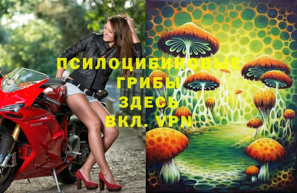 марки nbome Горнозаводск