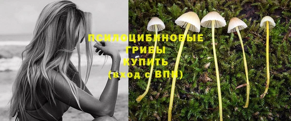 твердый Гусь-Хрустальный