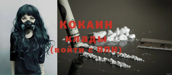 кокс Гусев