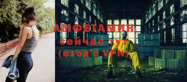 ГАЛЛЮЦИНОГЕННЫЕ ГРИБЫ Горняк