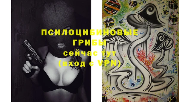 марки nbome Горнозаводск