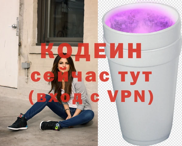 кокс Гусев