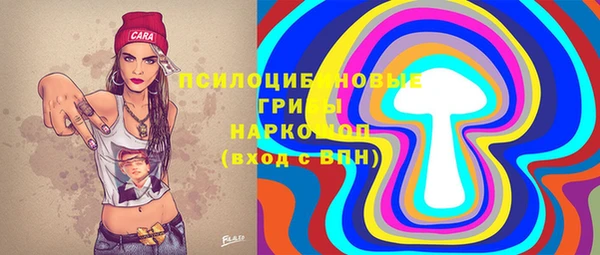 твердый Гусь-Хрустальный